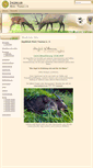 Mobile Screenshot of jkmt.de